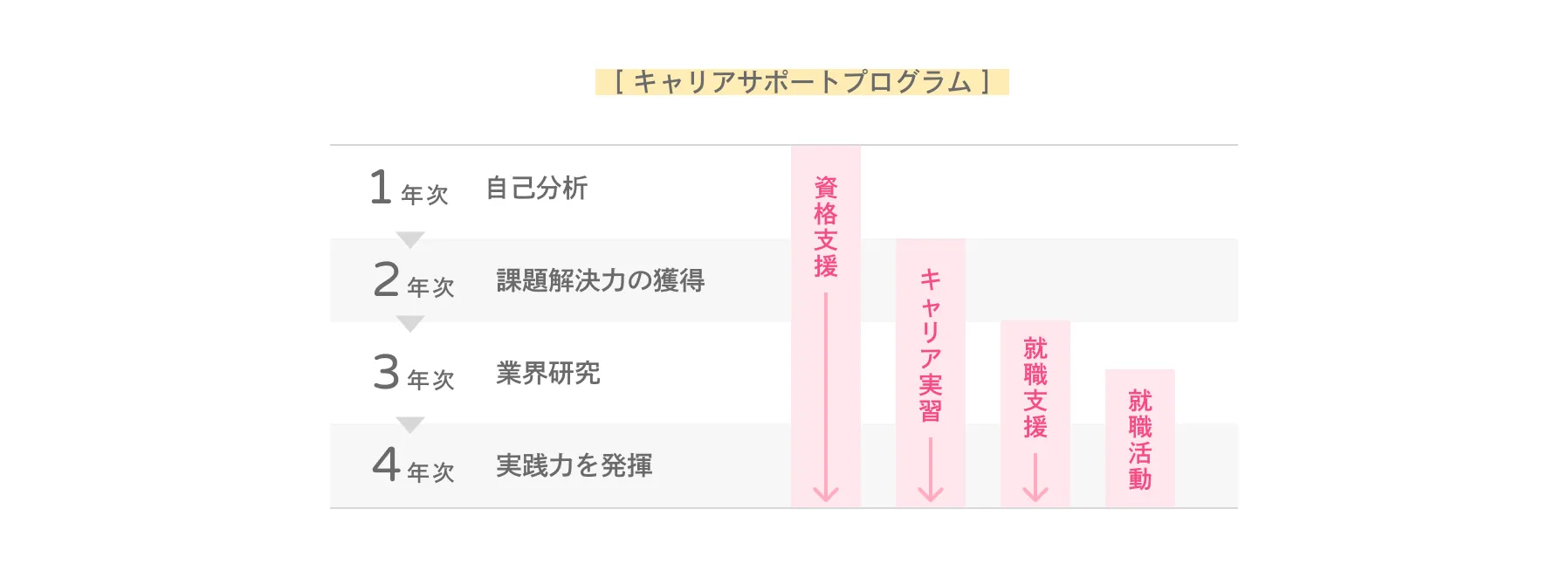 キャリアサポートプログラム